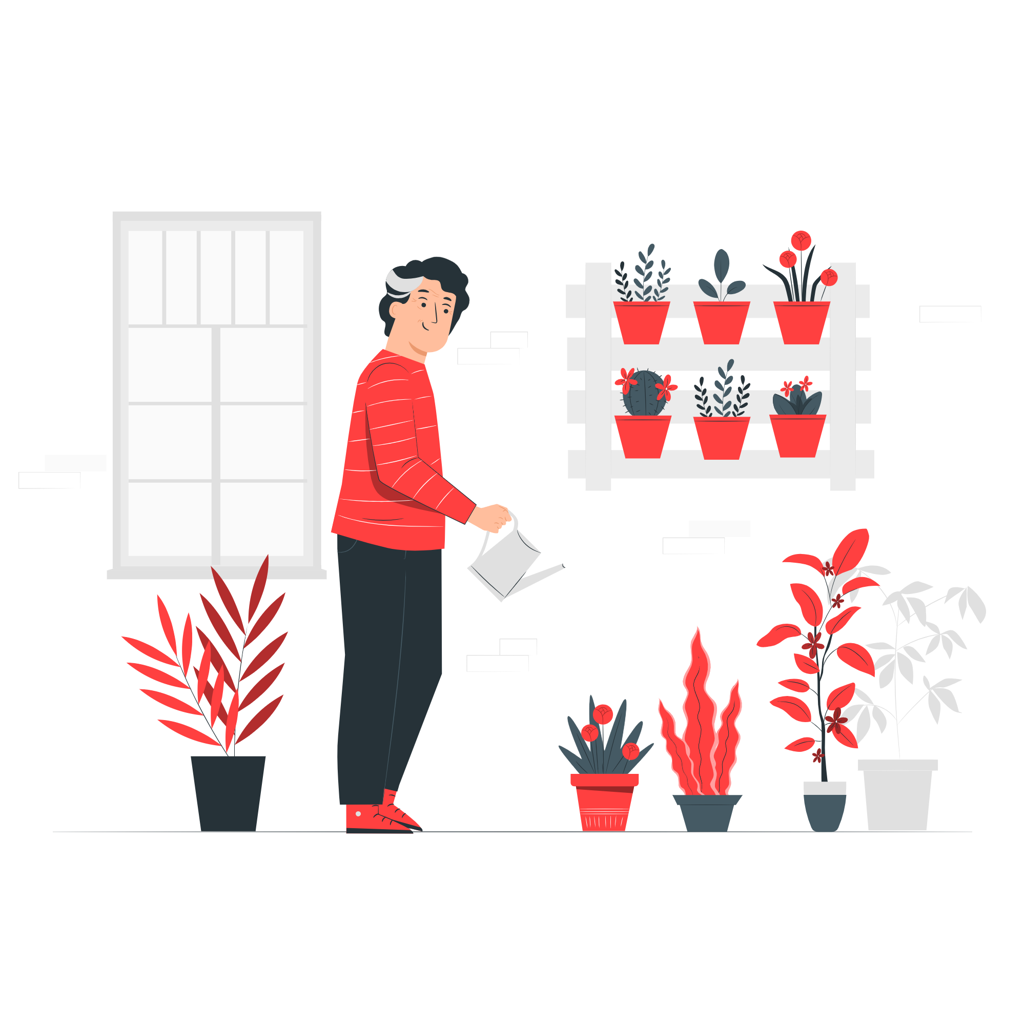 Vertical garden design and layout